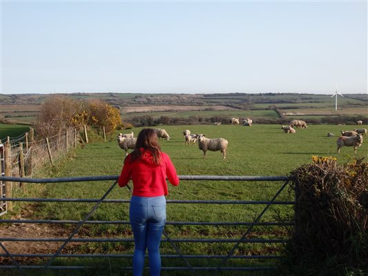 View over Forda Farm Bed and Breakfast close to the North Devon and North Cornwall border.